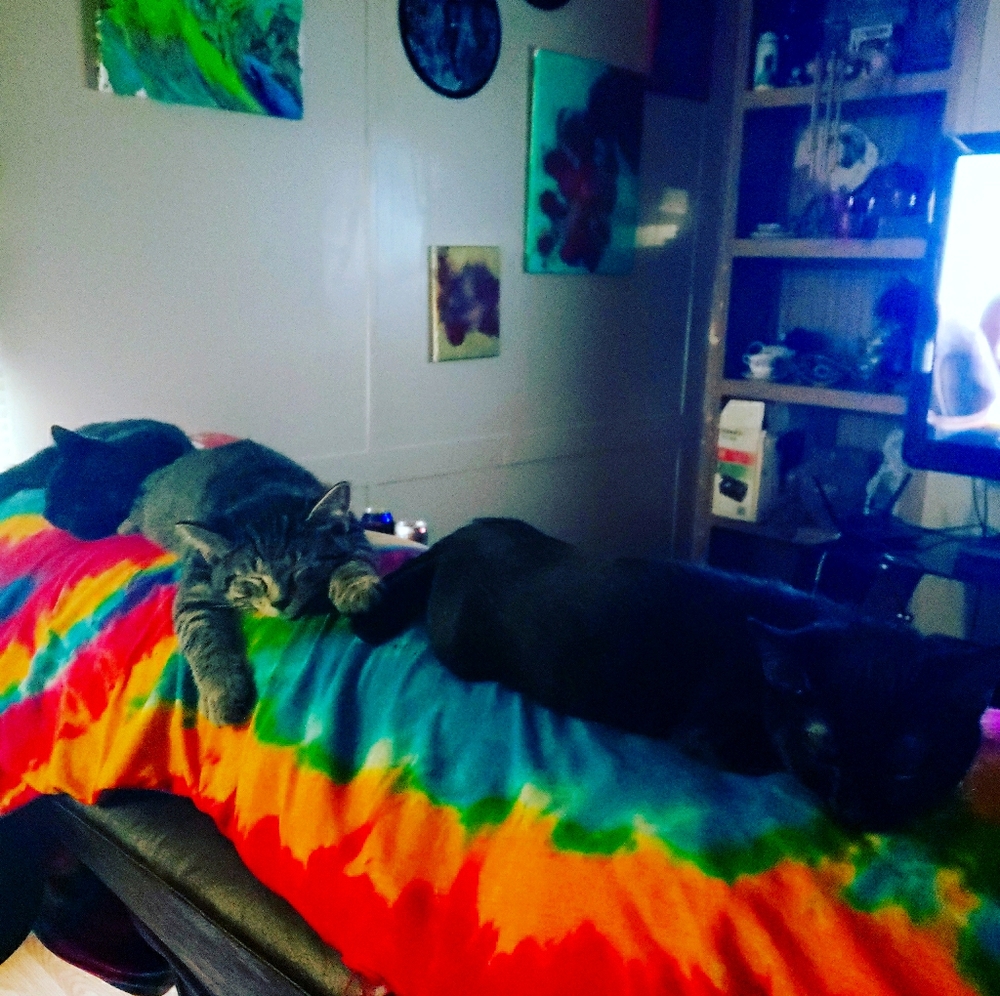 CAT FRIENDLY!